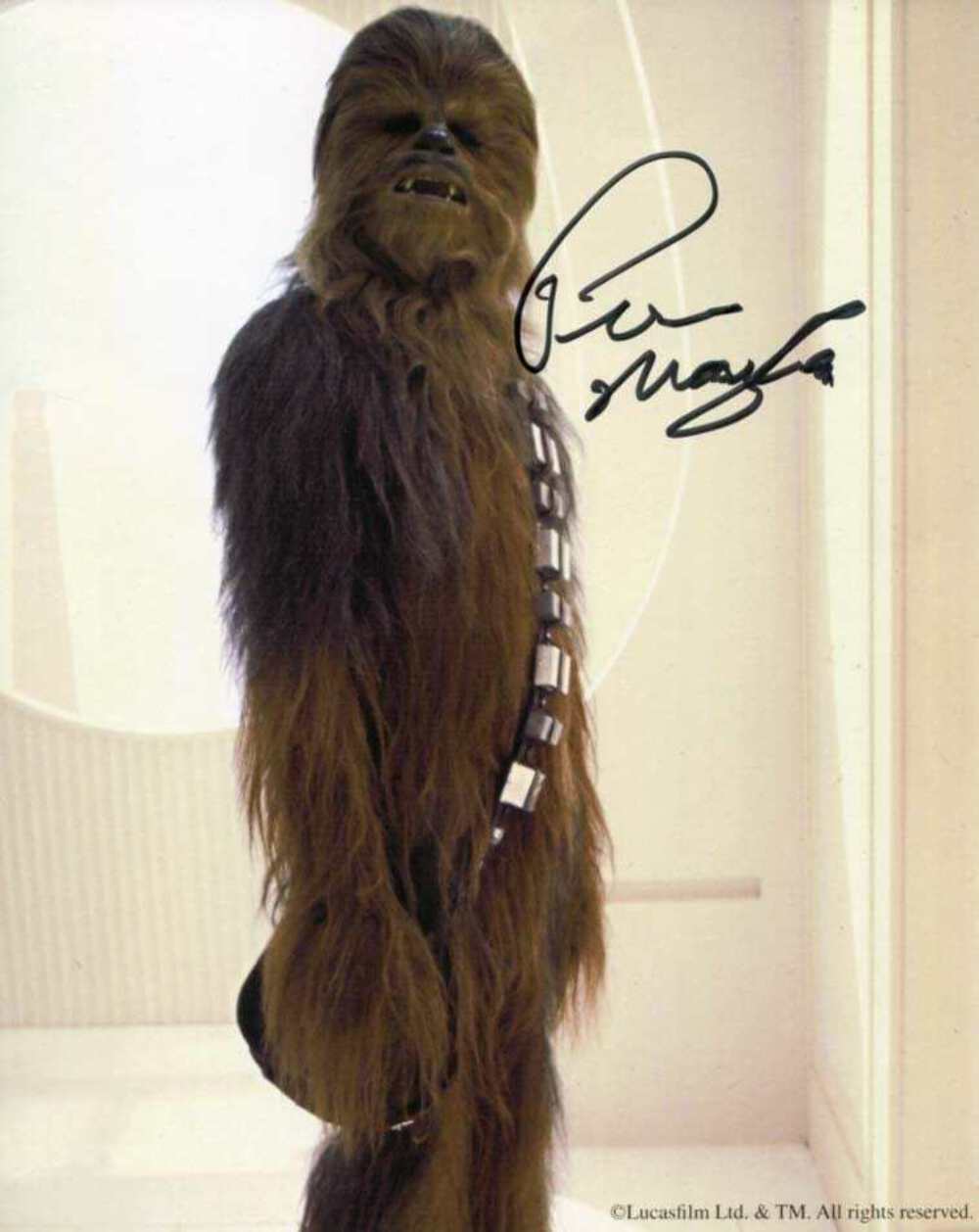 Peter Mayhew CHEWBACCA STAR WARS autograph, In-Person signed Photo Poster painting