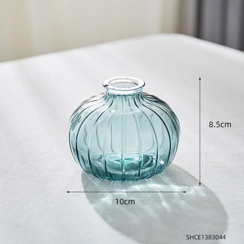 Nordic Creative Glass Vase Modern Home Decor Transparent Glass Vases for Flower Arrangements Hydroponic Tabletop Vase Decoration