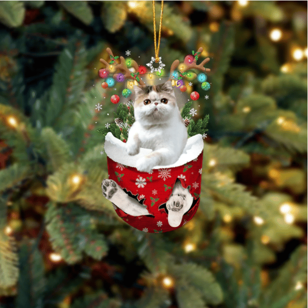 Exotic Shorthair In Snow Pocket Ornament