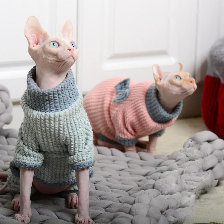 Winter Warm Hoodies Soft Pajamas For Cat 1