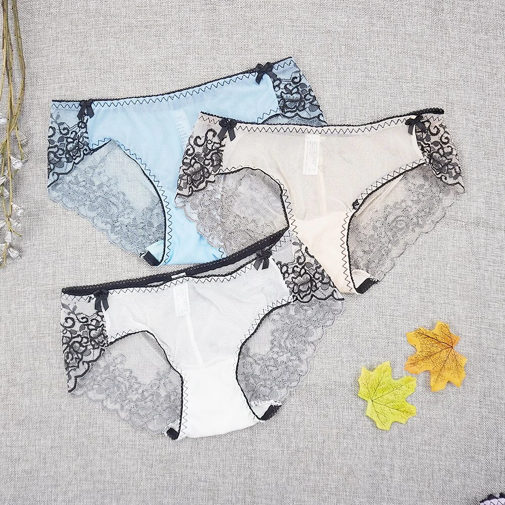 Billionm Embroidery Underwear Erotic Women Panties Lady Lace Sexy Transparent Briefs Mesh Underpants Shorts Panty