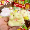 Squishy Hamster Stress Anxiety  Relief Toy (Do Not Take Out From Bag)