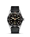 Tudor Black Bay