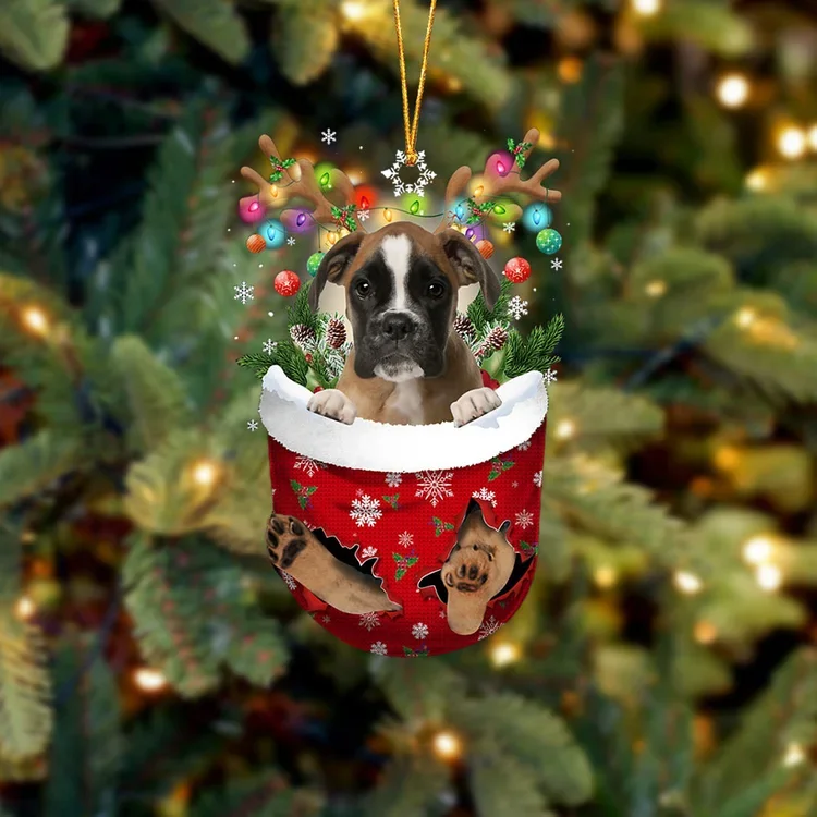 BROWN Boxer In Snow Pocket Christmas Ornament trabladzer