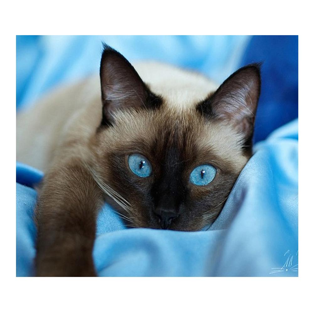 Алмазная мозаика кошка с голубыми глазами