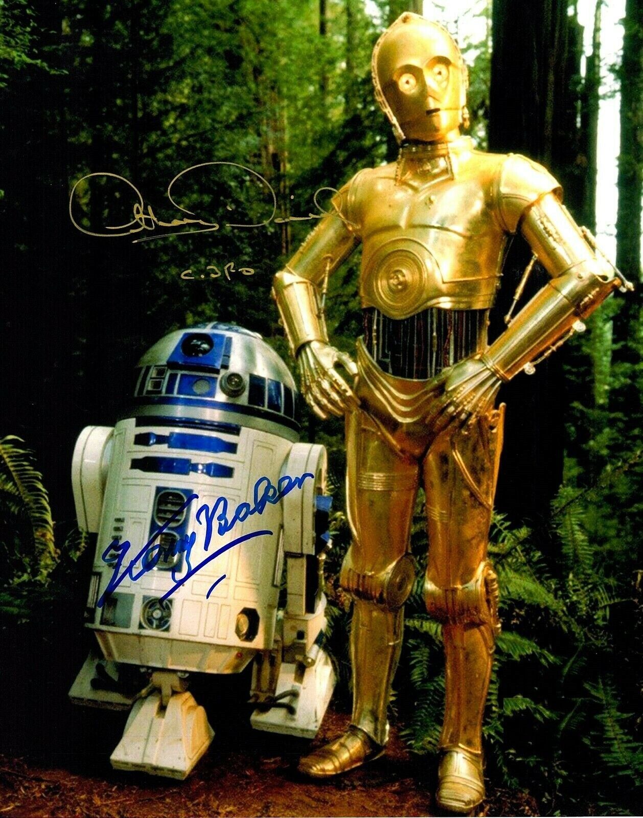 ANTHONY DANIELS & KENNY BAKER( Star Wars ) Autographed Signed 8x10 Photo Poster painting REPRINT