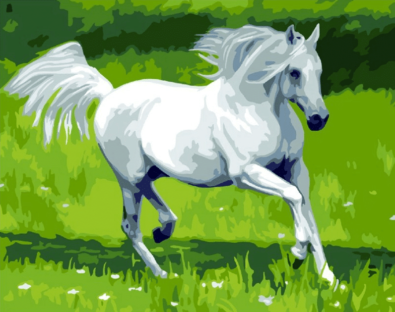 

White Horse – Paint By Numbers - 40*50CM, 501 Original