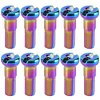 10Pcs Bike Spoke Nipples 14G Colorful Spokes Nipples for Mountain Road Bicycles