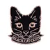 Melancholy Night Cat