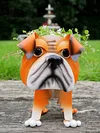 Bulldog Dog Planter Outdoor Garden Pot Ornament Patio Display For Flowers / Herbs - Quirky Gift Present