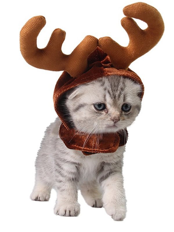 Christmas Reindeer Antler Hat For Dog Cat-elleschic