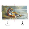 (US Only)5D DIY Full Round Drill Diamond Painting Tiger Kit Home Decor Art Craft 40x70cm