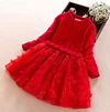 Kid Girl Spring Autumn Flower Dresses
