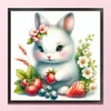 Cute Rabbit-18CT Stamped Cross Stitch 20*20cm/7.87*7.87in