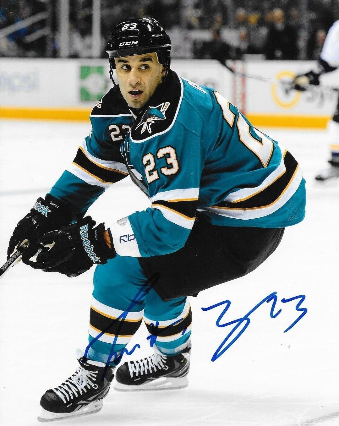 Scott Gomez signed San Jose Sharks 8x10 Photo Poster painting autographed 2