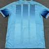 2024/2025 Venezia Third away Football Jersey 1:1 Thai Quality