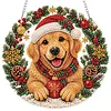 Diamond Painting Light Catcher Kit 25cm Acrylic for Enthusiasts