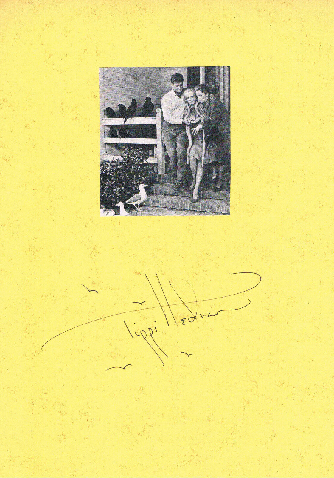 Tippi Hedren THE BIRDS autograph signed card 8x12