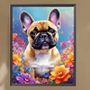 Bouledogue-Carré Diamant Peinture-45*55CM