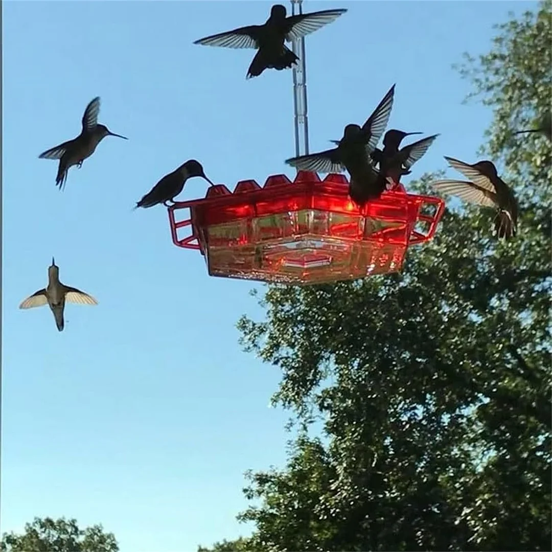 ✨LAST DAY SALE-60% OFF💥Hummingbird Feeders for Outdoors Hanging