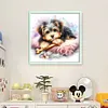 Bone Puppy-11CT Stamped Cross Stitch 40*40cm/15.75*15.75in tapestrymarket