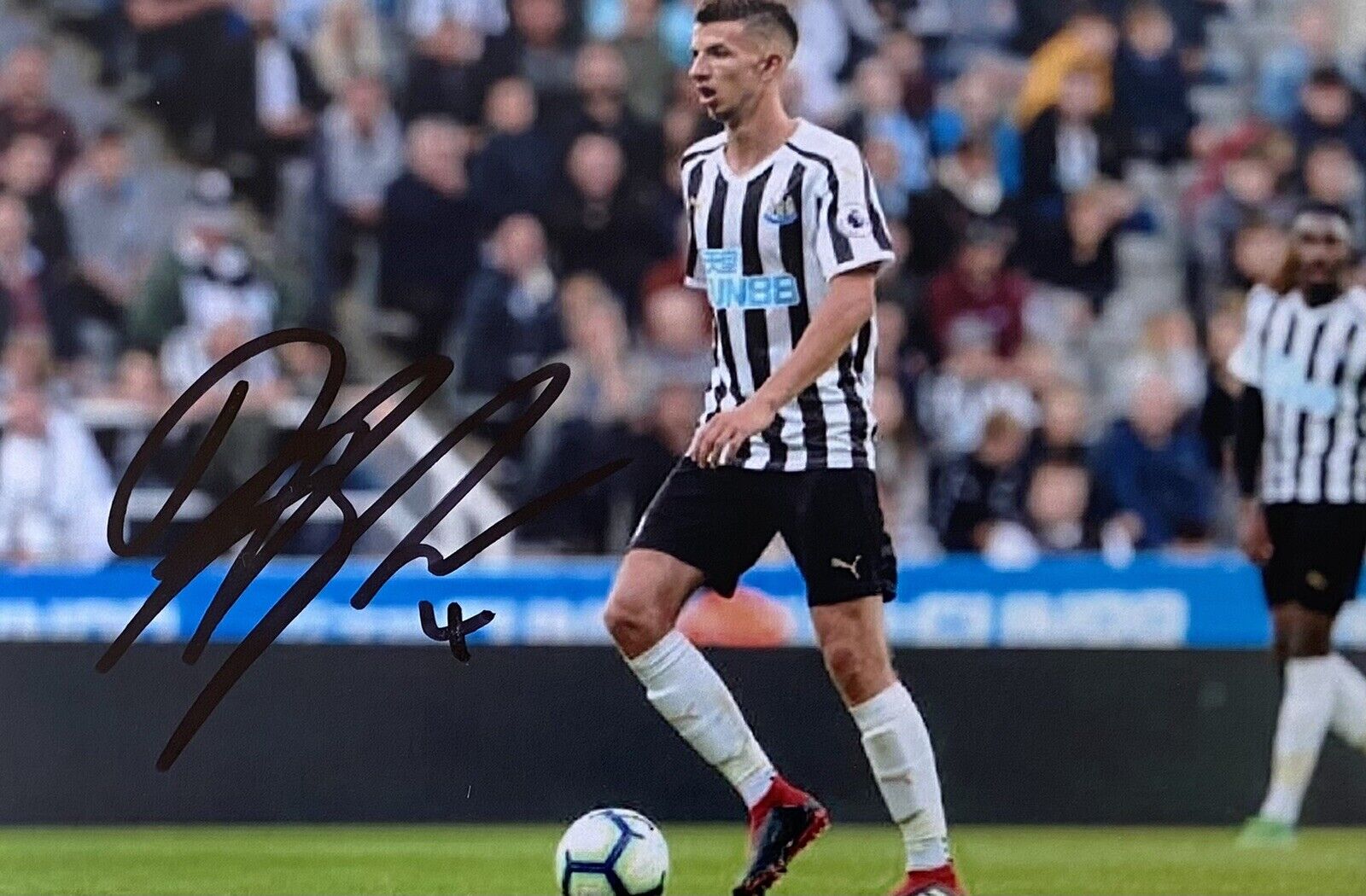 Dan Barlaser Genuine Hand Signed Newcastle United 6X4 Photo Poster painting