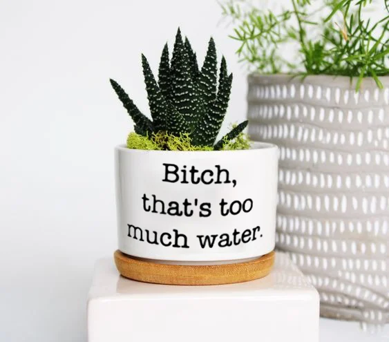 🔥New Year Promotion 50% Off-🌱Funny Plant Pot