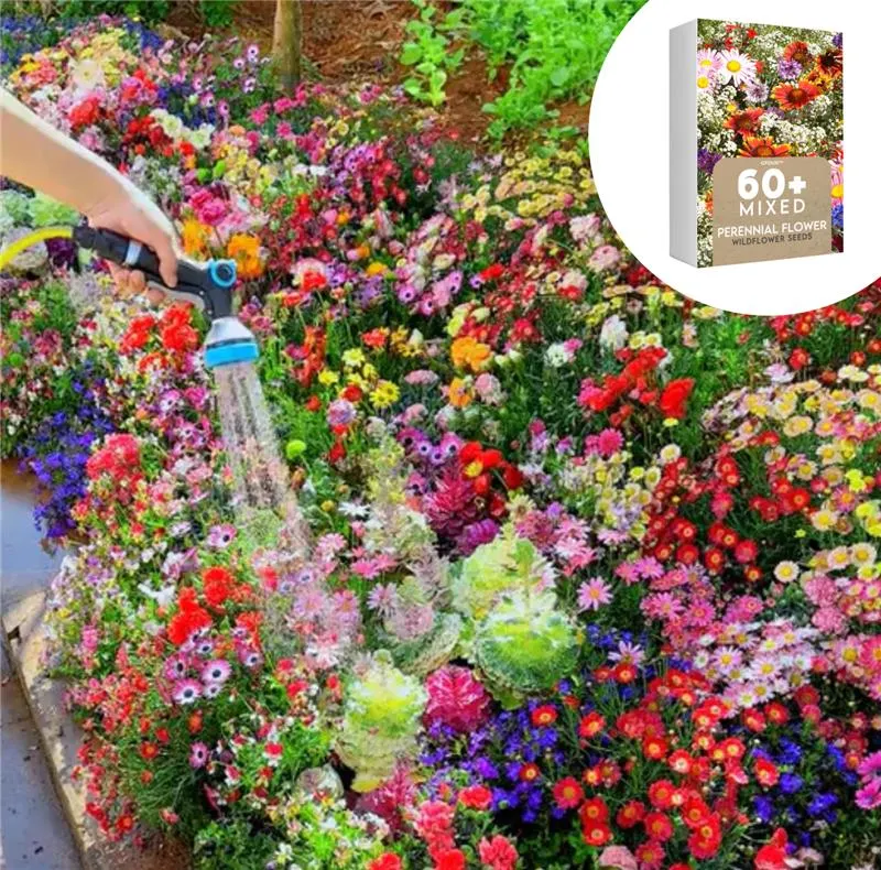 🇺🇸Spring Bloom Bonanza: 🔥GFOUK® 60+ Garden Flower Seeds🔥Growing into S  – Dank You