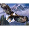 Soaring Eagle | Full Round Diamond Painting Kits