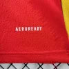 2024 Spain Home Football Shirt 1:1 Thai Quality