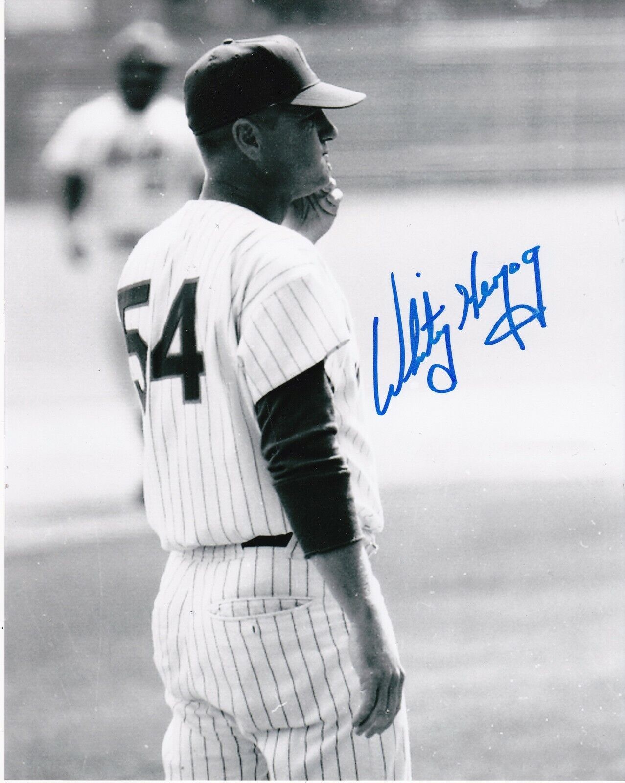 WHITEY HERZOG NEW YORK METS ACTION SIGNED 8x10