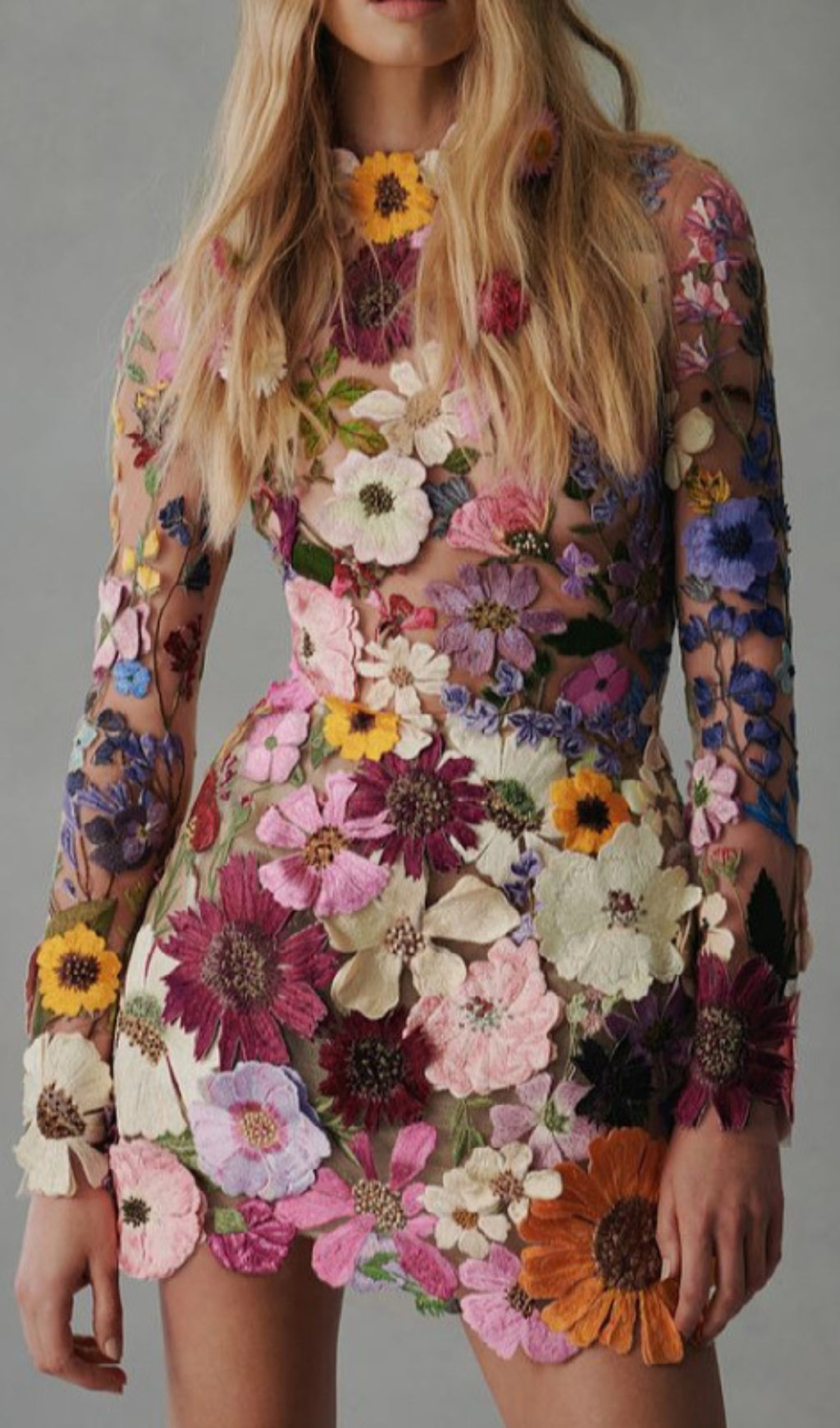 Embroidered Lace Half High Collar Mini Dress