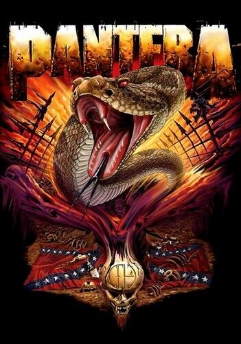 PANTERA POSTER - SNAKE PROMO - Photo Poster painting QUALITY INSERT -  POST!