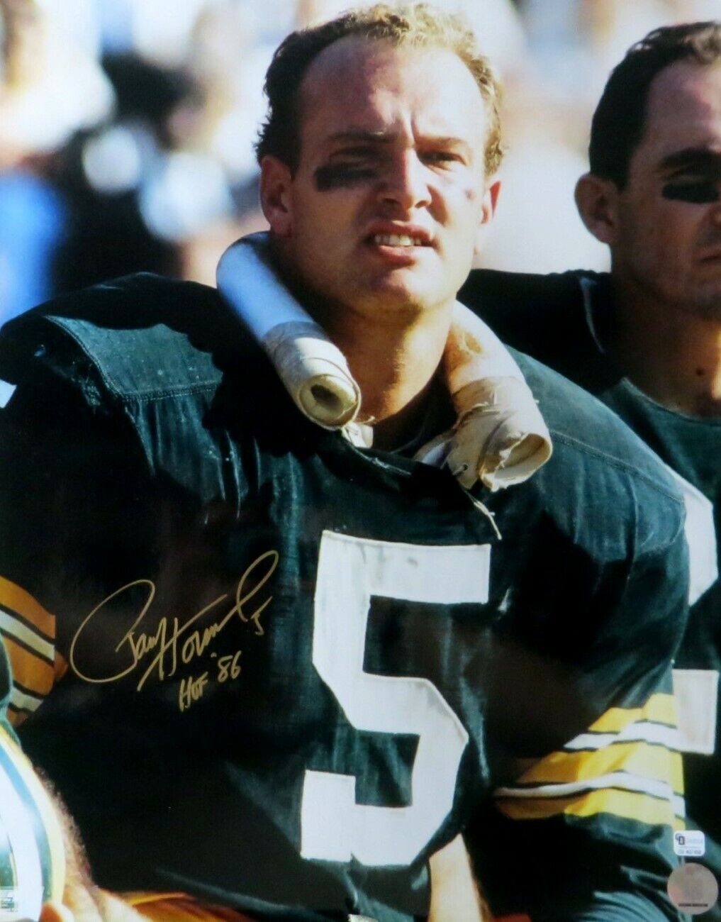 Paul Hornung Signed Autographed 16X20 Photo Poster painting Green Bay Packers HOF 86