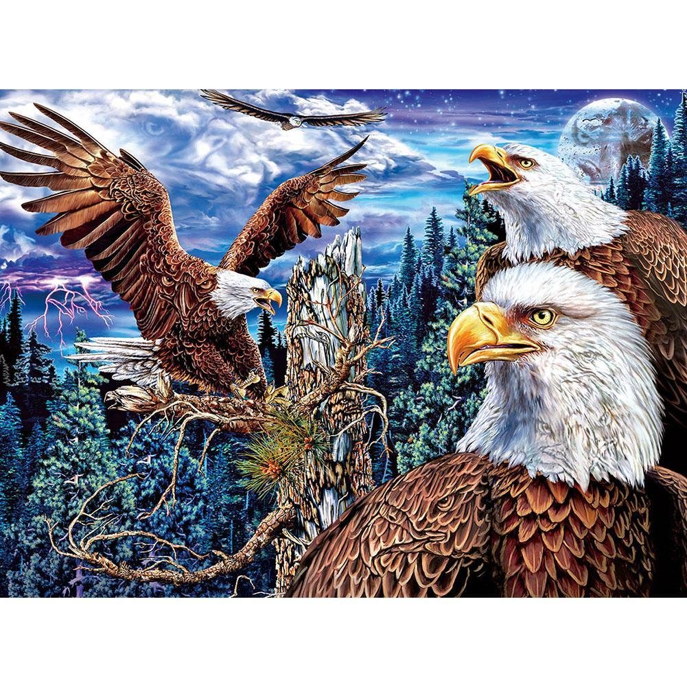 Full Round Diamond Painting Eagle (40*30cm)