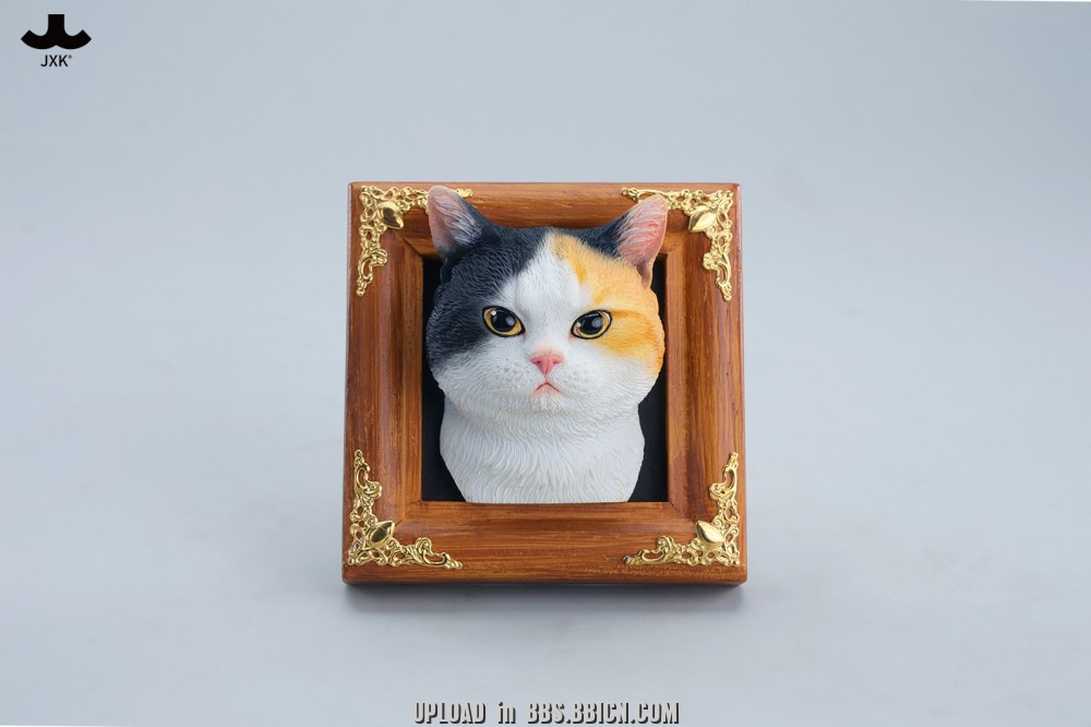 JXK - Gentle-eyed country cat JS2607 (Licensed)