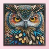 [Brand]Owl - 14CT Counted Cross Stitch - 41*41cm