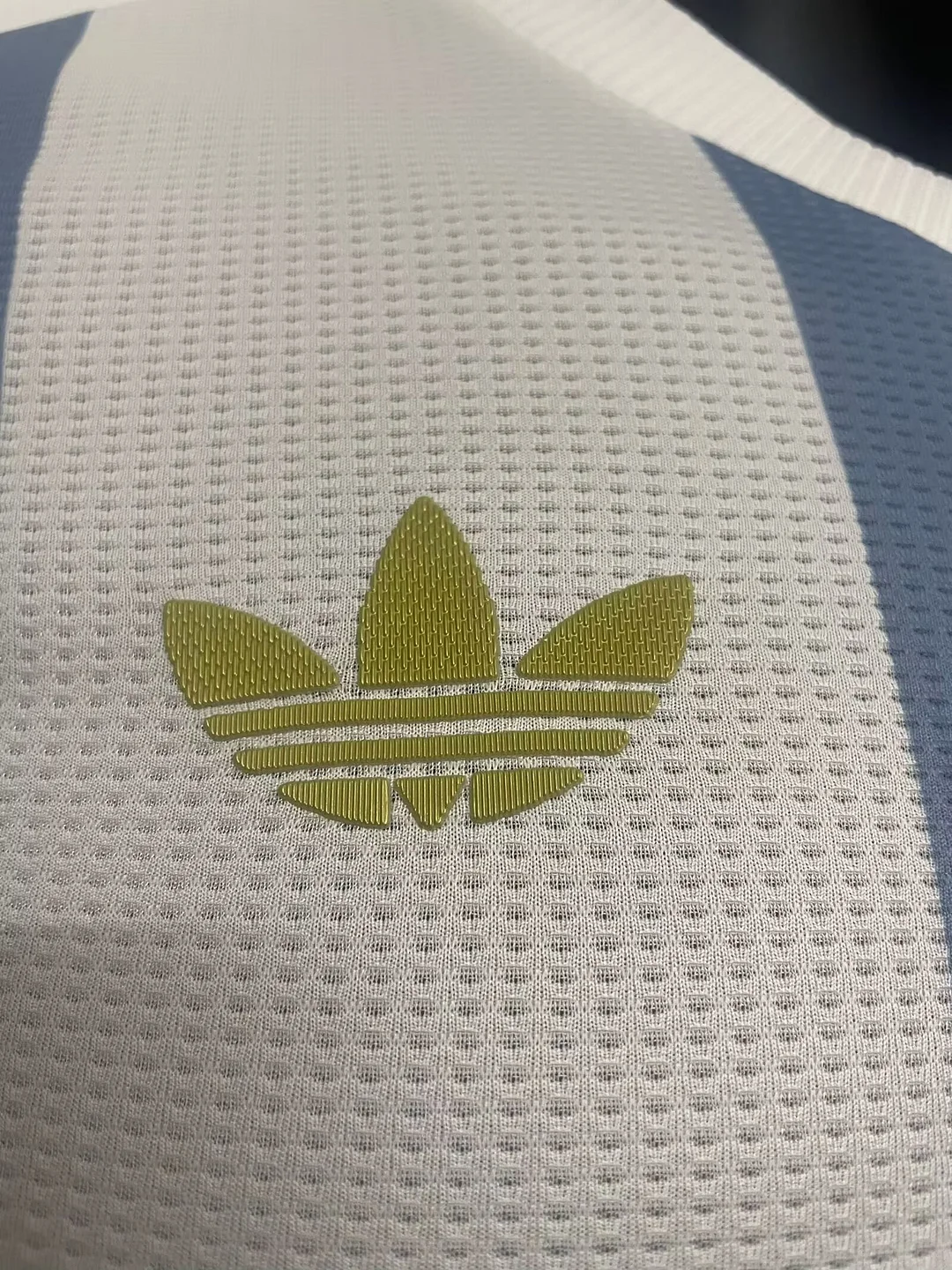 2024 Argentina 50th Anniversary Edition Player Version Football T-Shirt Thai Quality