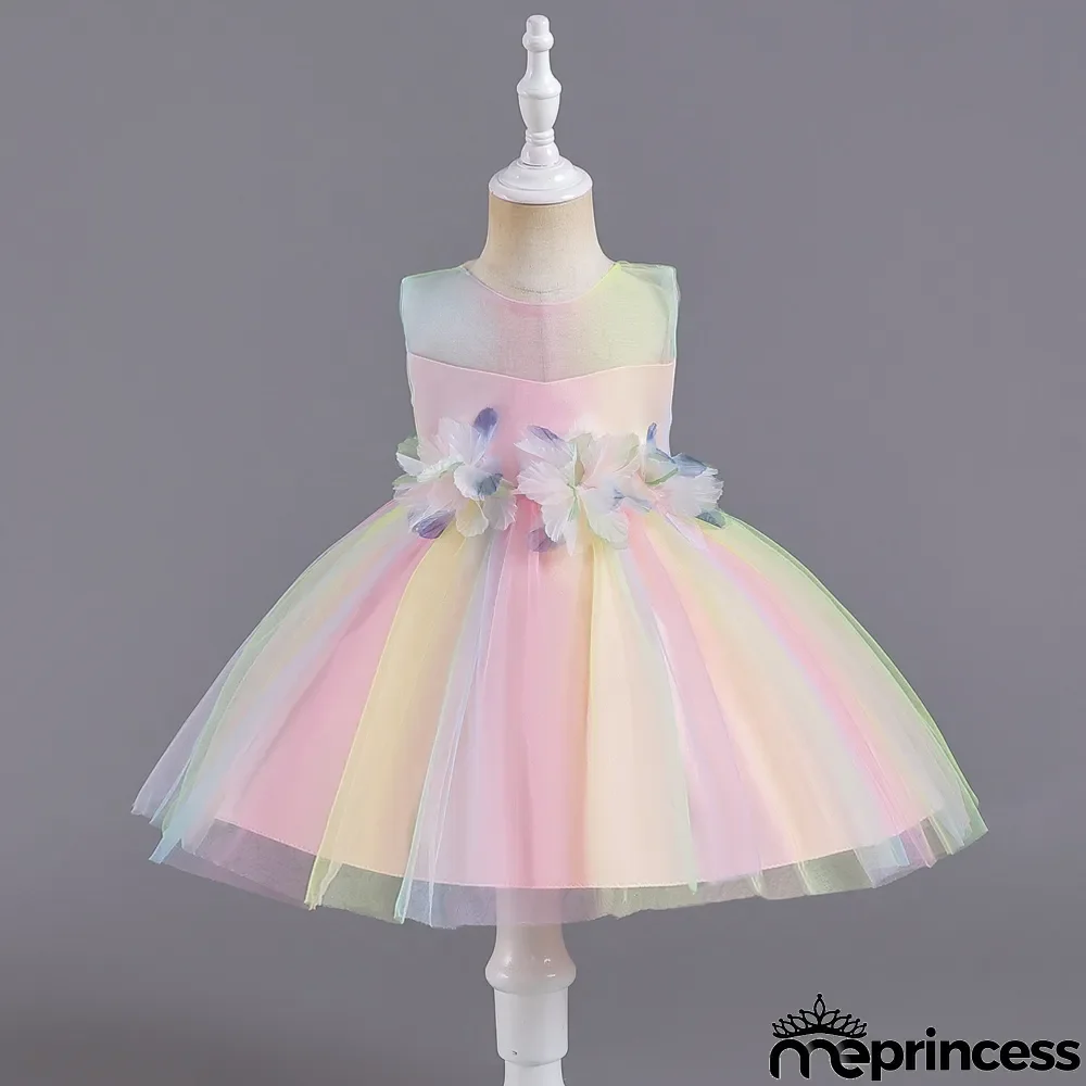 Infant and Toddler Dresses Floral Dress Multi-Color Mesh Pouf Princess Dress