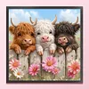 Highland Trio Full 11CT 3 Strands DIY Stamped Cross Stitch Kits for Beginners Adults Home Wall Decor Cross Stitch Art and Crafts Kits 40x40cm