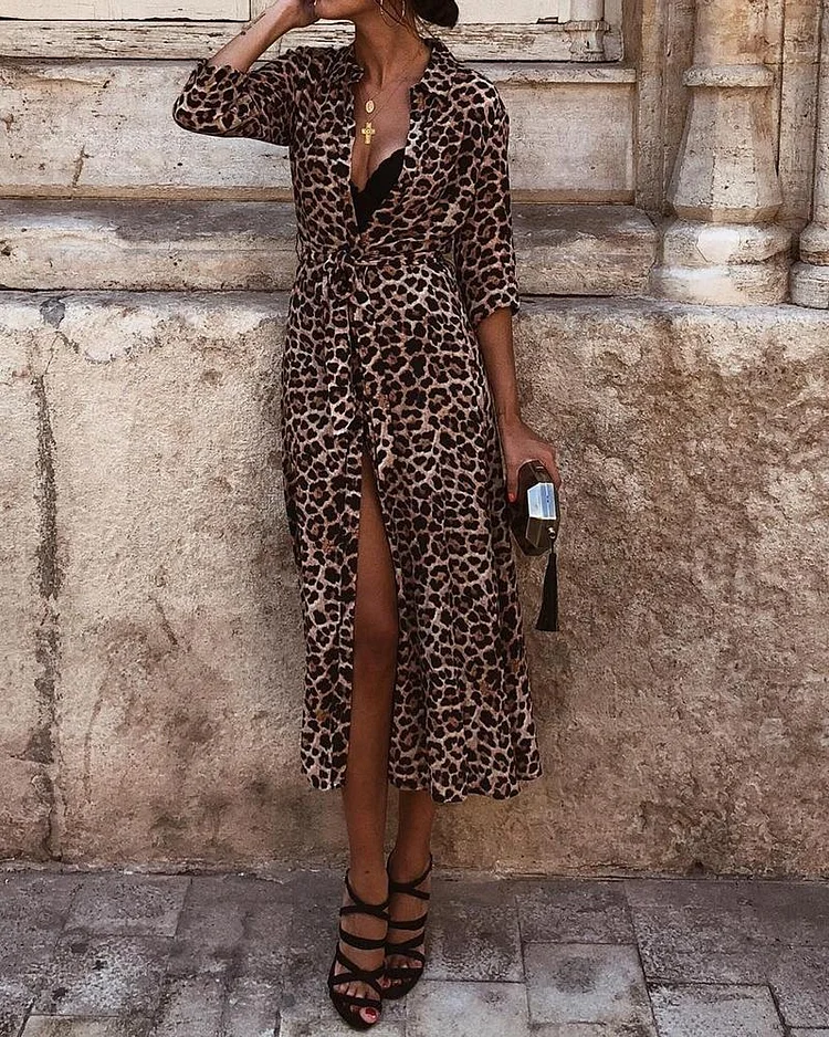 Leopard Print Long Sleeve Print Dress