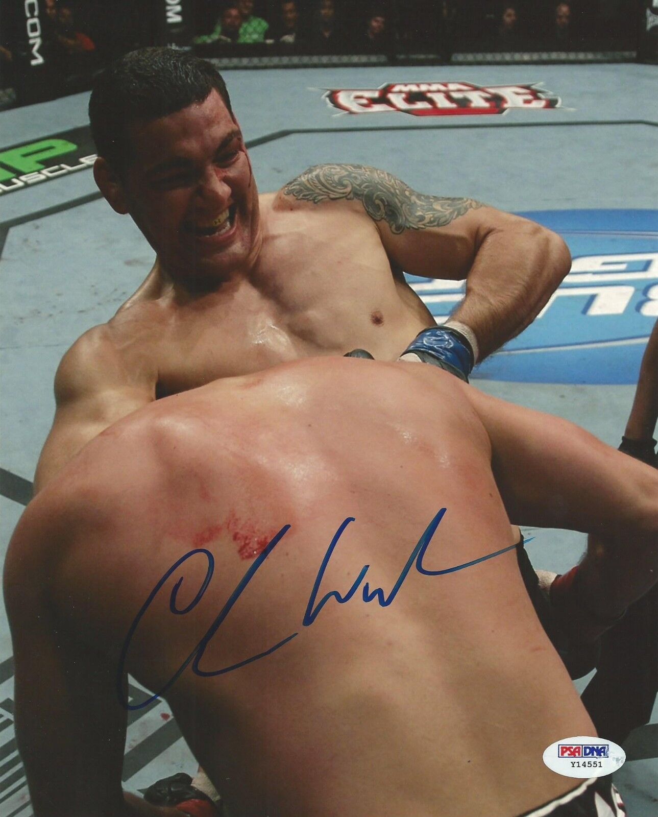 Chris Weidman Signed UFC 8x10 Photo Poster painting PSA/DNA COA Picture Autograph 175 168 162 1