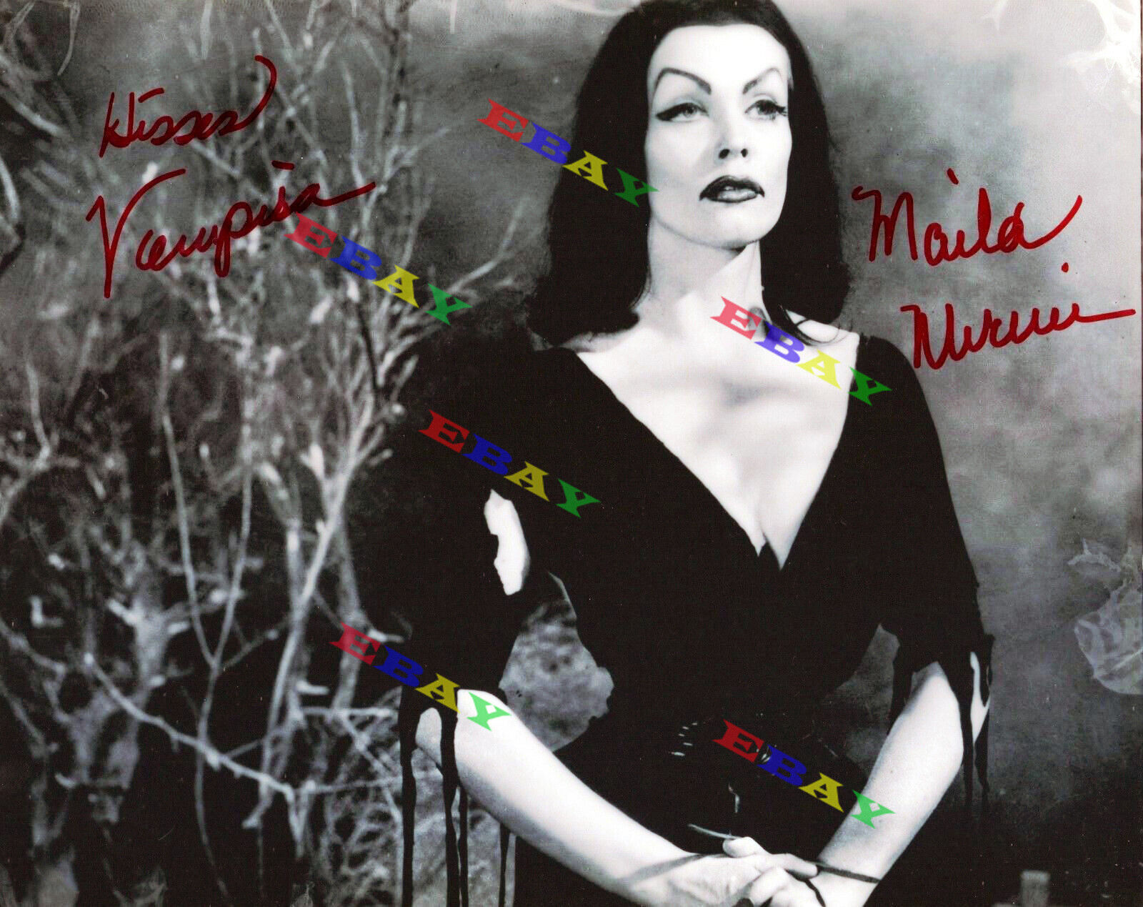 Maila Nurmi as Vampira Autographed Signed Photo Poster painting REPRINT