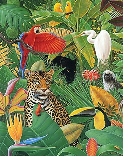 

Tropical Animals – Paint By Numbers - 40*50CM, 501 Original