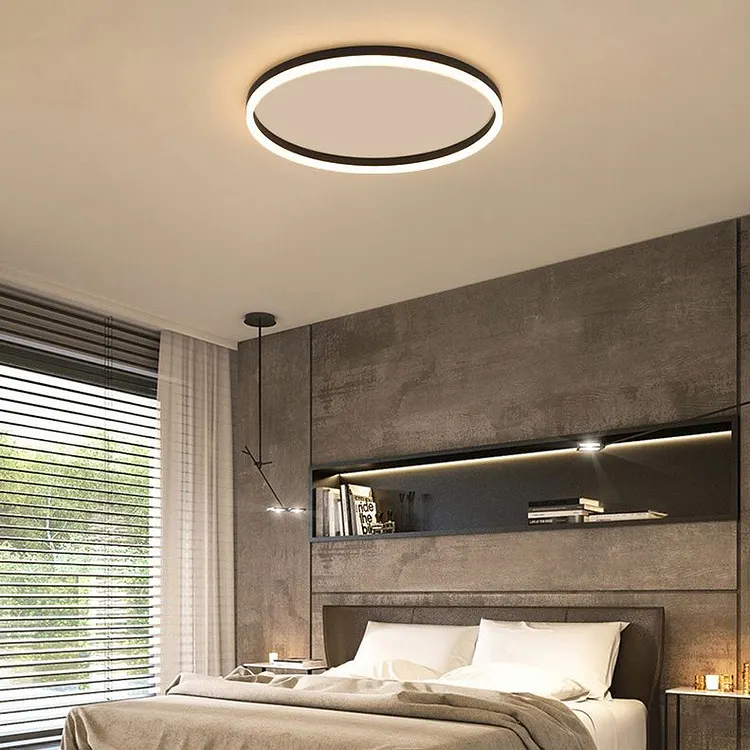 Quinn Minimalist Ring Metal Flush Mount Ceiling Light