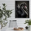 Black Swan-Full Square Diamond Painting(40x50cm)