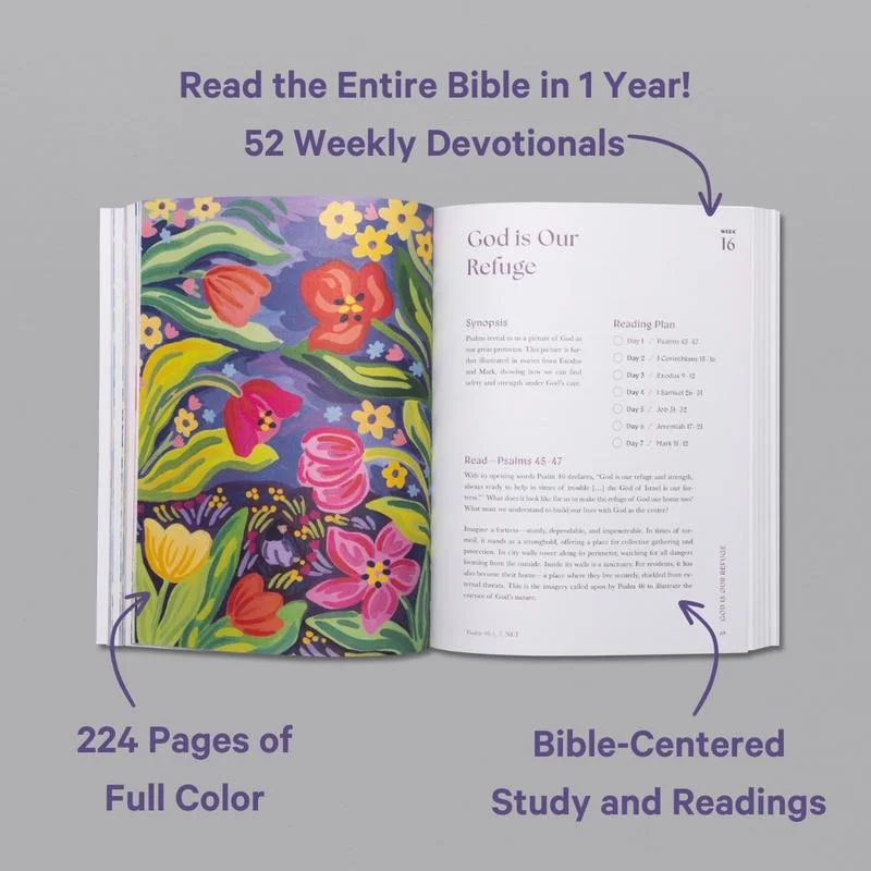 A Beautiful Year in the Bible: The 52-Week Bible Study for Women (Soft Cover)