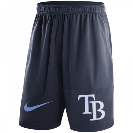 Men's Tampa Bay Rays  Navy Dry Fly Shorts