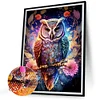 Diamond Painting-DIY Square Drill (Part AB Drill) Owl(35*45CM)