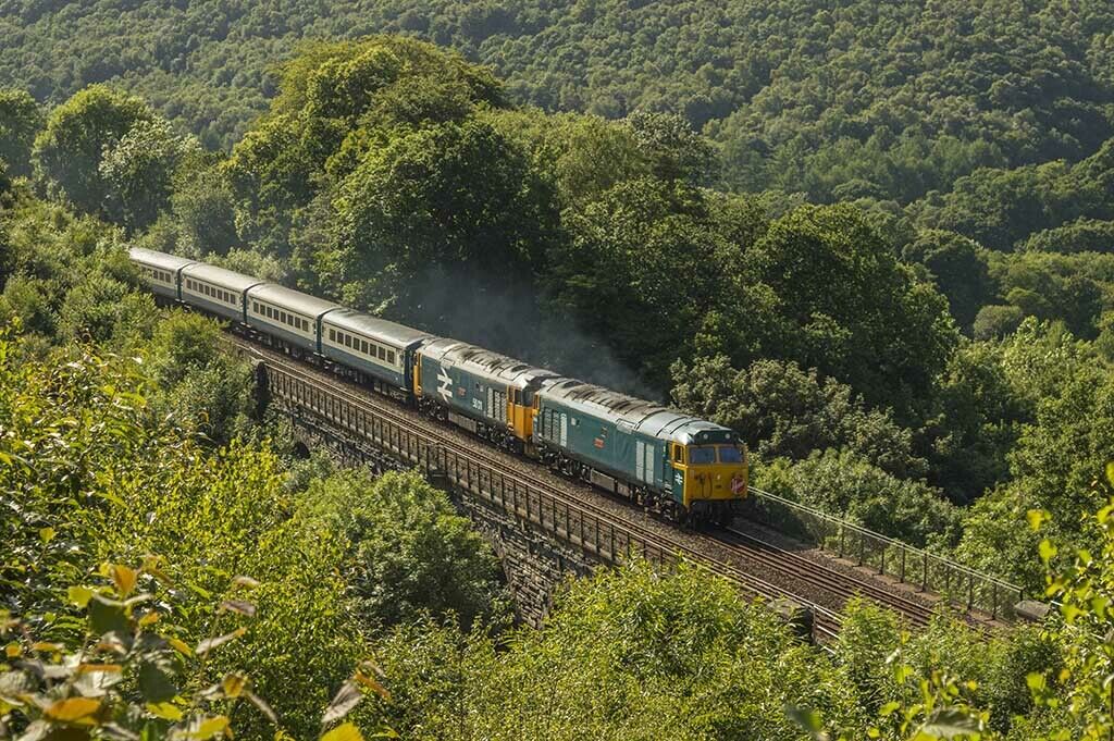 Class 50 Diesel Locomotives 50011 & 50049 12x8 inch print picture